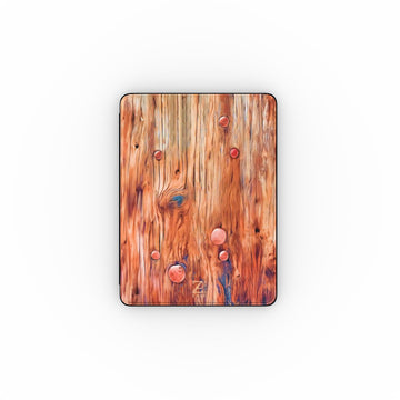 iPad case: Nailed Rustic Wood